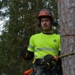 Arborilla trädtjänster AB - Kontaktperson