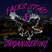 Falks städ och organisering logo