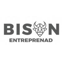 Bison Entreprenad AB logo