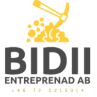 Bidii Entreprenad AB logo