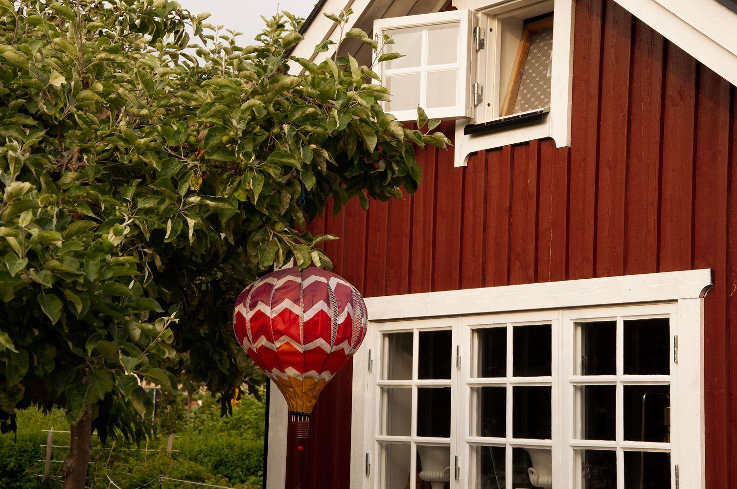En härlig miljöbild på ett falurött litet hus med ett äppelträd utanför. I äppelträdet hänger en röd luftballong som dekoration.