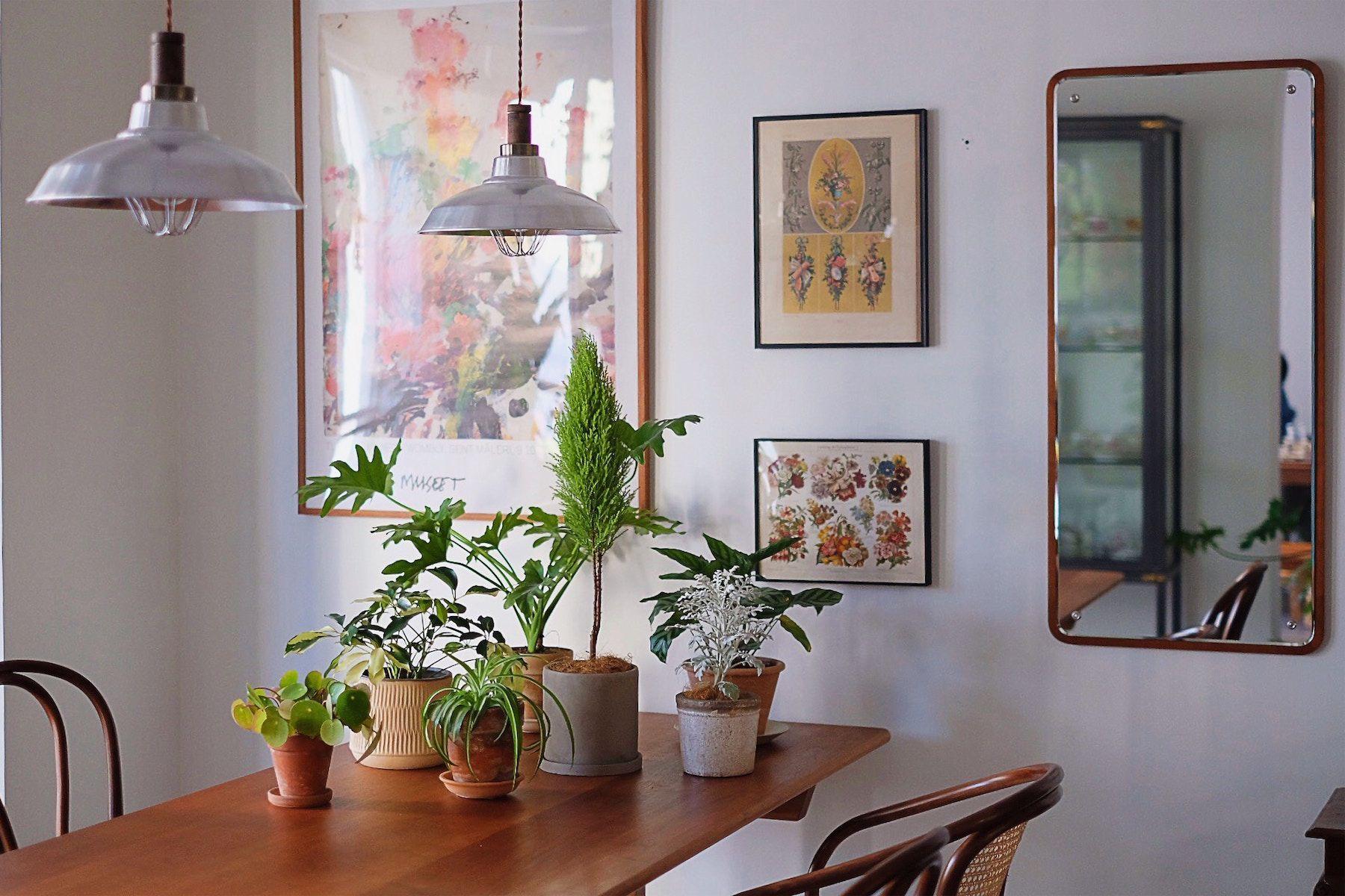 Köksbord med krukväxter och retroinredning