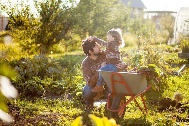 En far och barn leker i sin höstträdgård vid en skottkärra. Solen skiner på den gröna omgivningen.