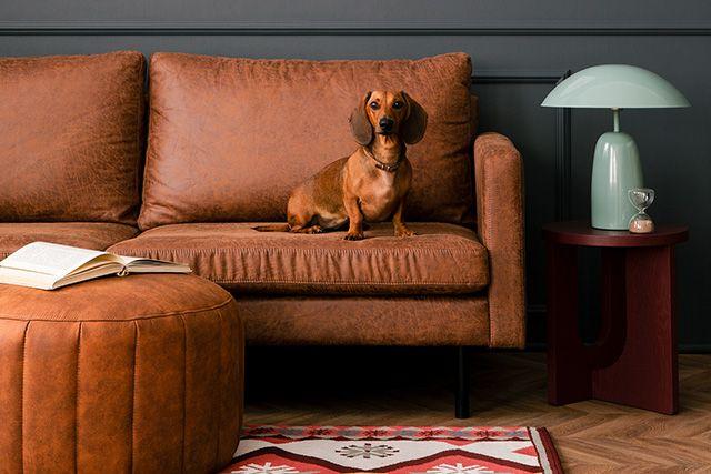 Retroinredning med modern touch, höstiga färger i inredningen, rostbrun soffa och sittpuff och turkos bordslampa