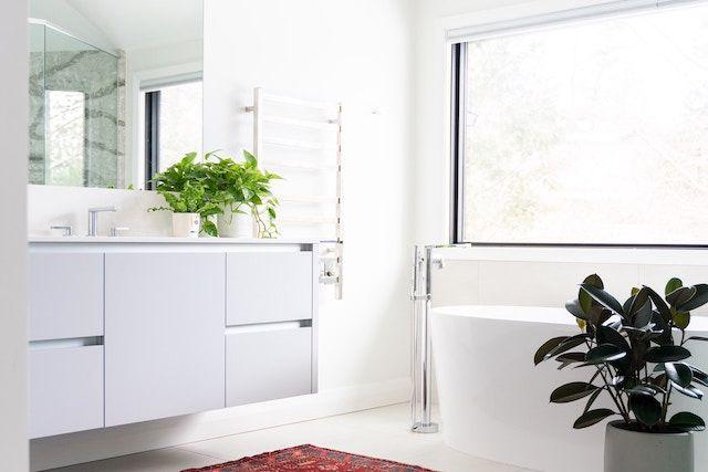 Vitt badrum med gröna växter, badkar och ett stort fönster