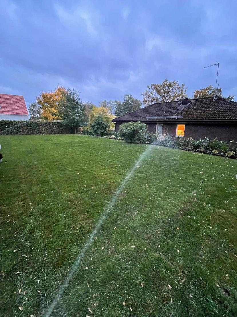 Gräsmatta och Automatbevattning 320 m² - 4