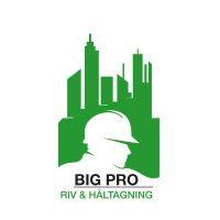 Big Pro Riv & Håltagning AB logo